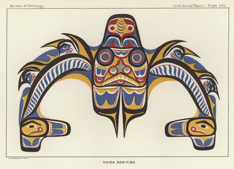 Haida Cachorro-peixe de American School