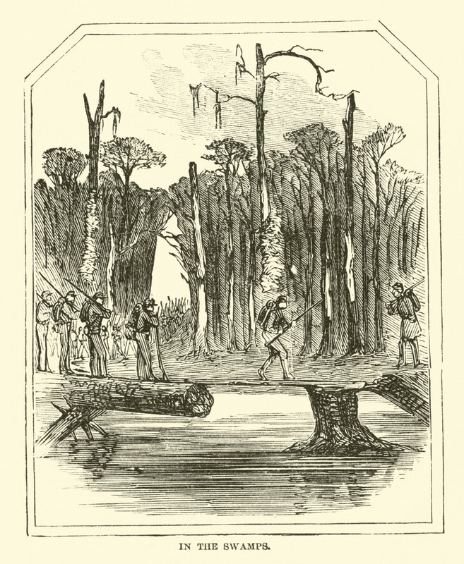 Nos pântanos, março de 1863 de American School