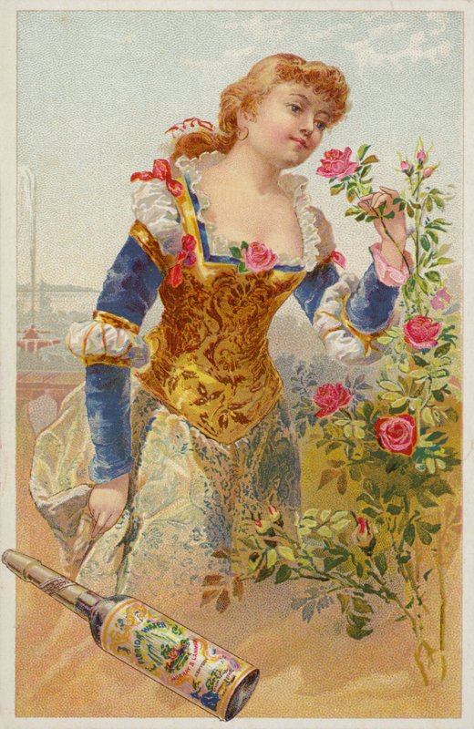 Senhora Cheirando Rosas de American School