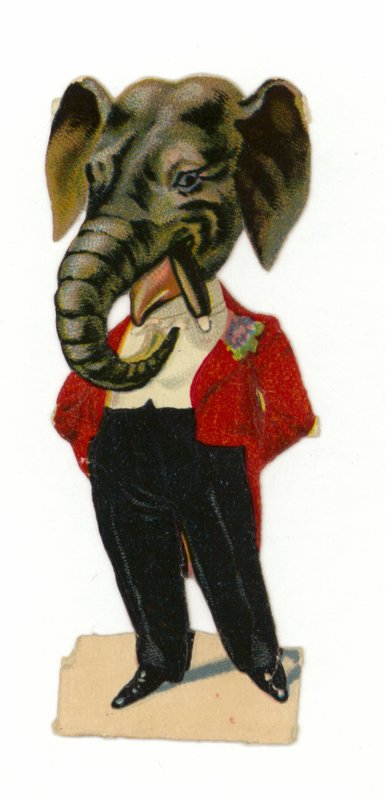 Homem, desgastar, elefante, cabeça de American School