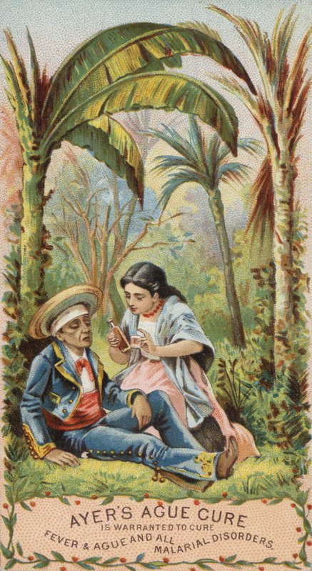 Homem com malária de American School