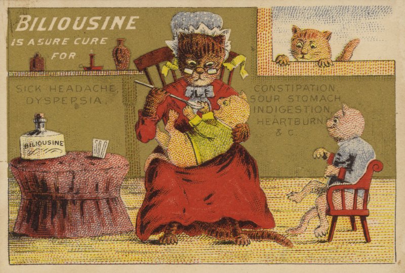 Tempo de Medicina para os Gatos de American School