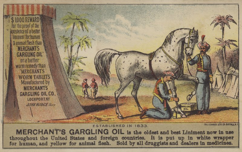 Óleo de gargarejo do comerciante de American School