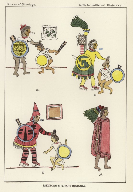 Insígnias militares mexicanas de American School
