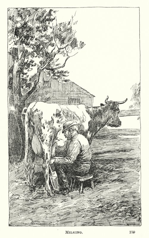 Ordenha (gravura) de American School