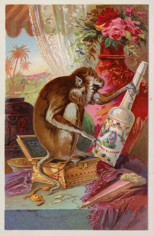 Macaco com uma garrafa de American School