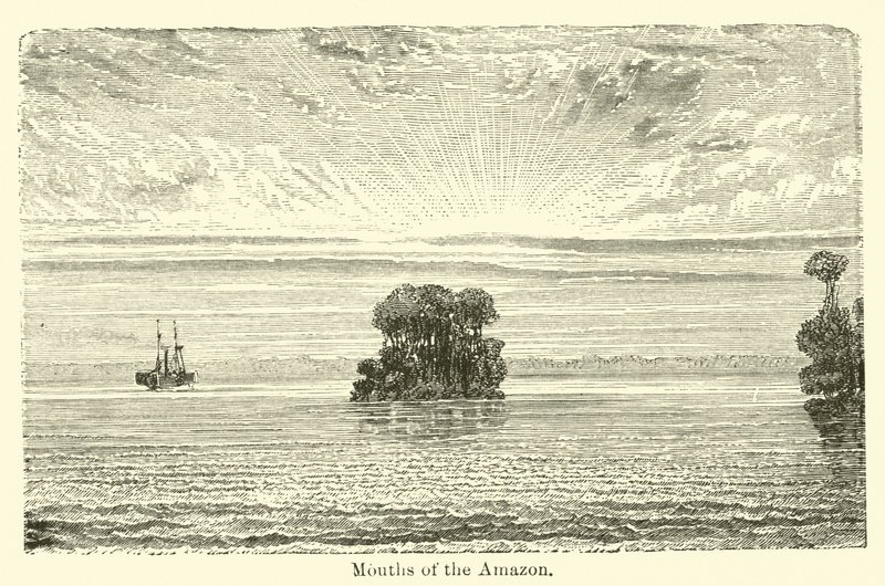 Bocas da Amazônia de American School
