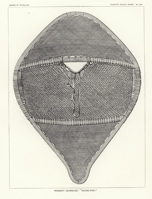 Snowshoe Nenenot - Round-end de American School