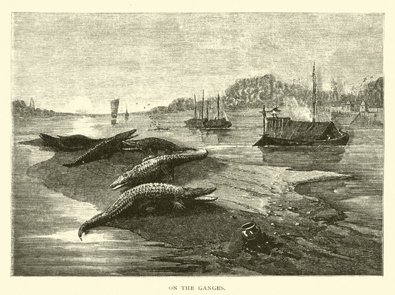 No Ganges de American School