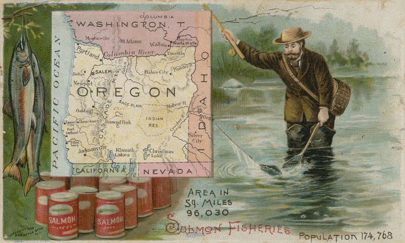 Oregon - pescas Salmon de American School