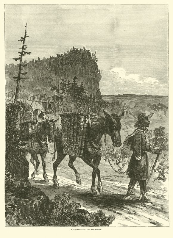 Pack-mulas nas montanhas, fevereiro de 1863 de American School