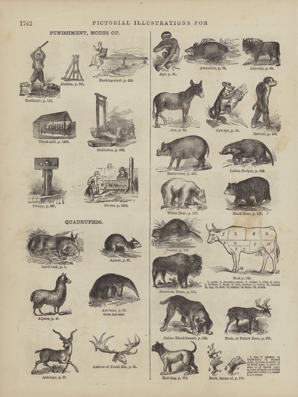 Página do Dicionário Completo de Webster (George Bell de American School