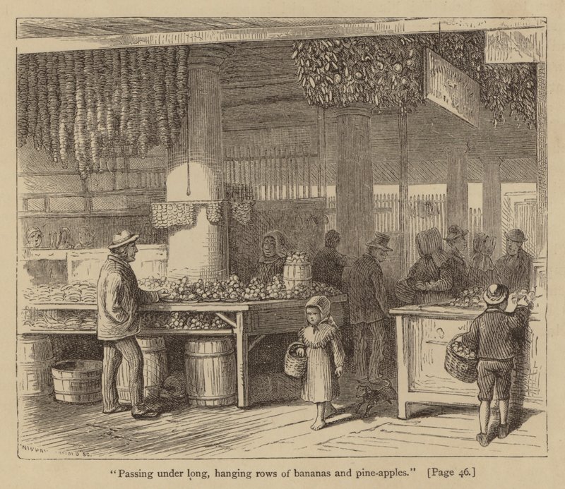"Passando por baixo de longas filas de bananas e ananases" (gravura) de American School
