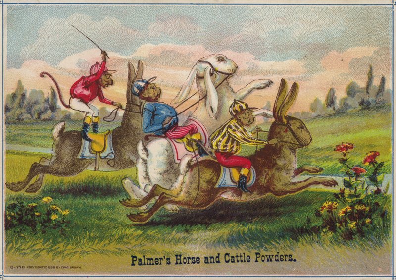 Corrida de Coelhos de American School