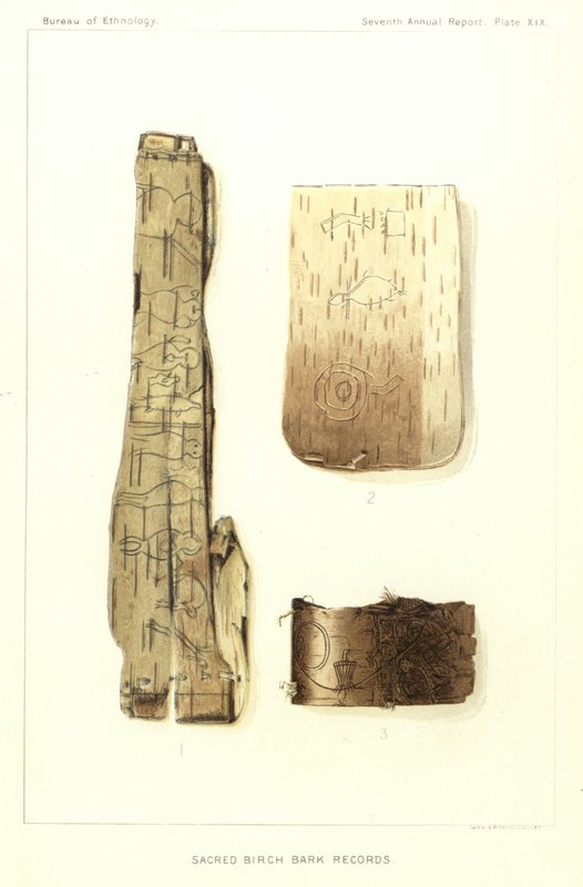 Registros Sagrados Da Casca De Vidoeiro de American School