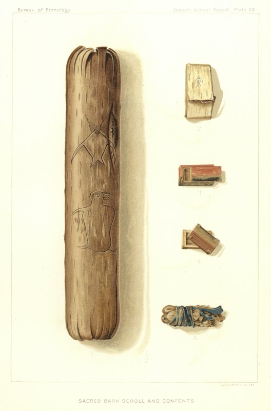 Rolo de casca sagrada e conteúdo de American School