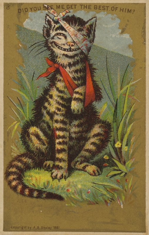 Gato Smirking com Lesões de American School