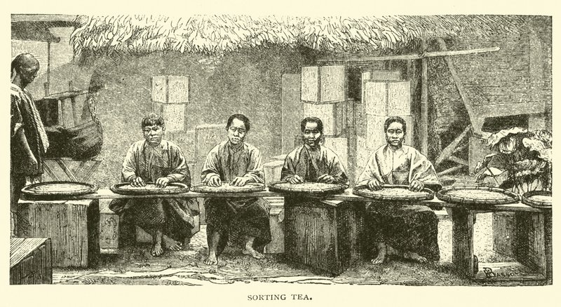 Chá de classificação de American School