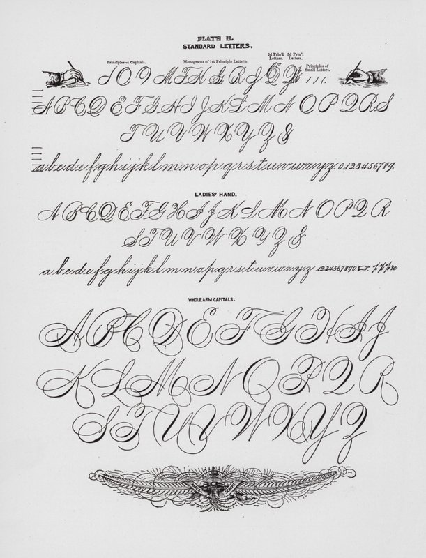 Cartas padrão; Mão de senhora; Capitais de braços inteiros (gravura) de American School