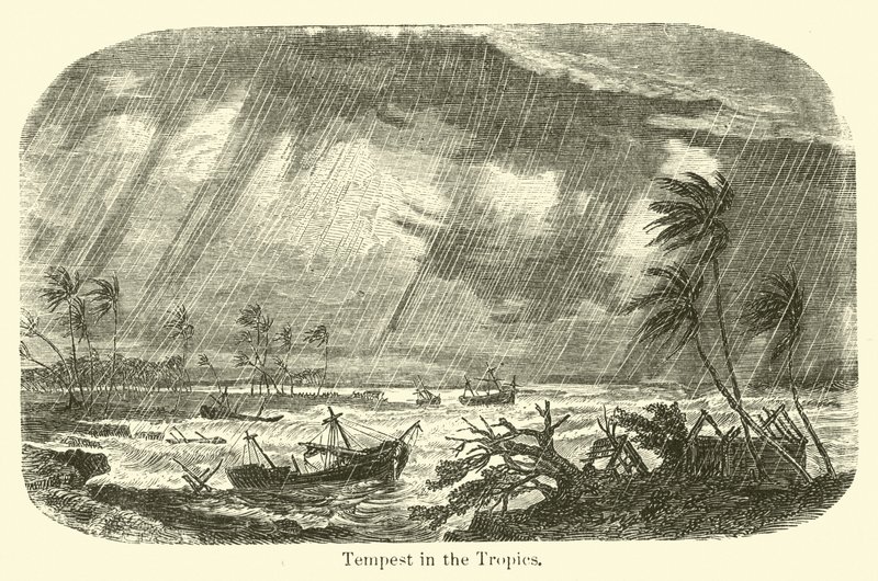 Tempestade nos Trópicos de American School