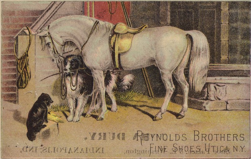 Cavalo amarrado com Sheepdog de American School