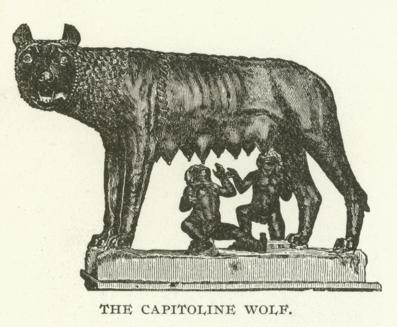 O lobo capitolino de American School