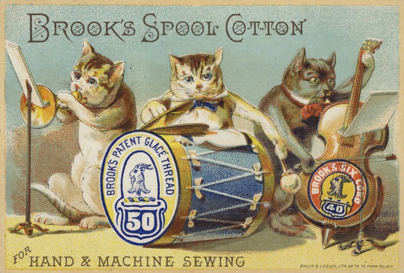 A banda do gato de American School