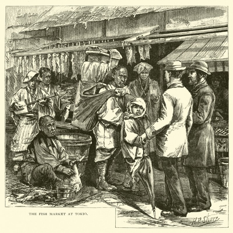 O mercado de peixe no Tokio de American School