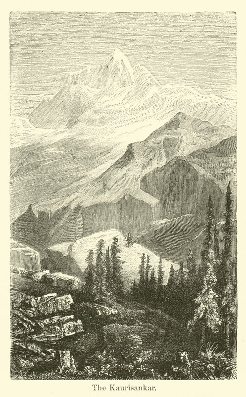 O Kaurisankar de American School