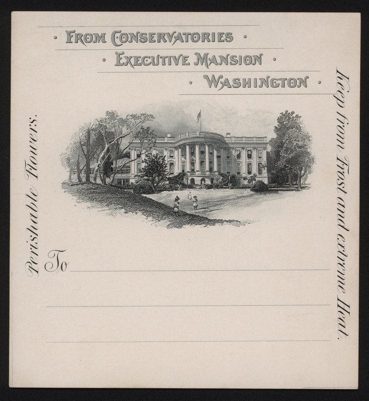 The White House, Washington DC, EUA (litho) de American School
