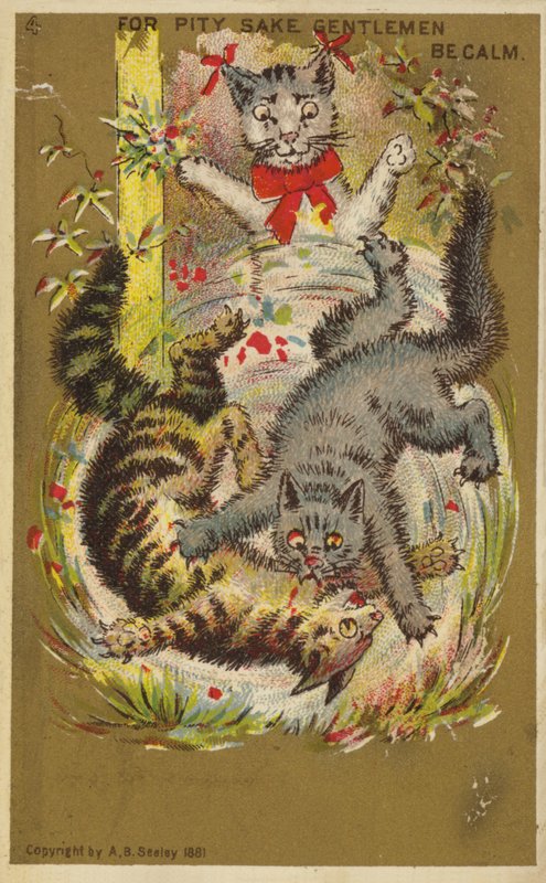 Três gatos brincalhões de American School