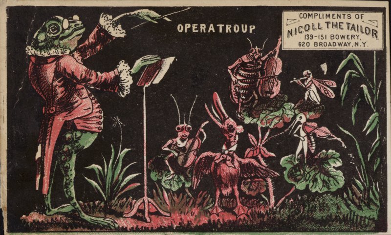 Sapo, conduzindo, inseto, faixa de American School
