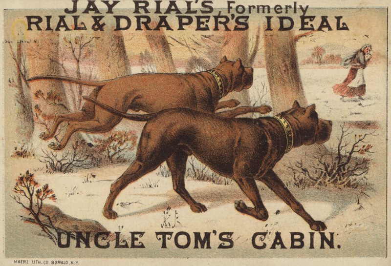 Dois cachorros em madeiras de American School
