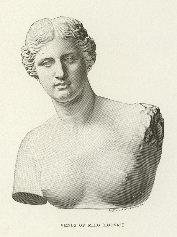 Vênus de Milo, Louvre de American School