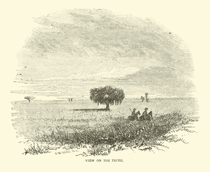 Ver sobre o Teche, abril de 1863 de American School