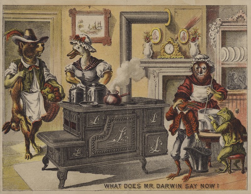 O que é que o Sr. Darwin diz agora? (chromolitho) de American School