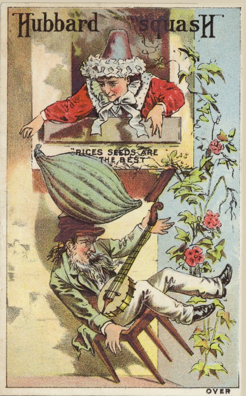 Mulher, amainar, squash, saída, janela, banjo, tocando, homem de American School