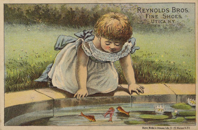 Menina jovem, olhar, peixe, em, lagoa de American School