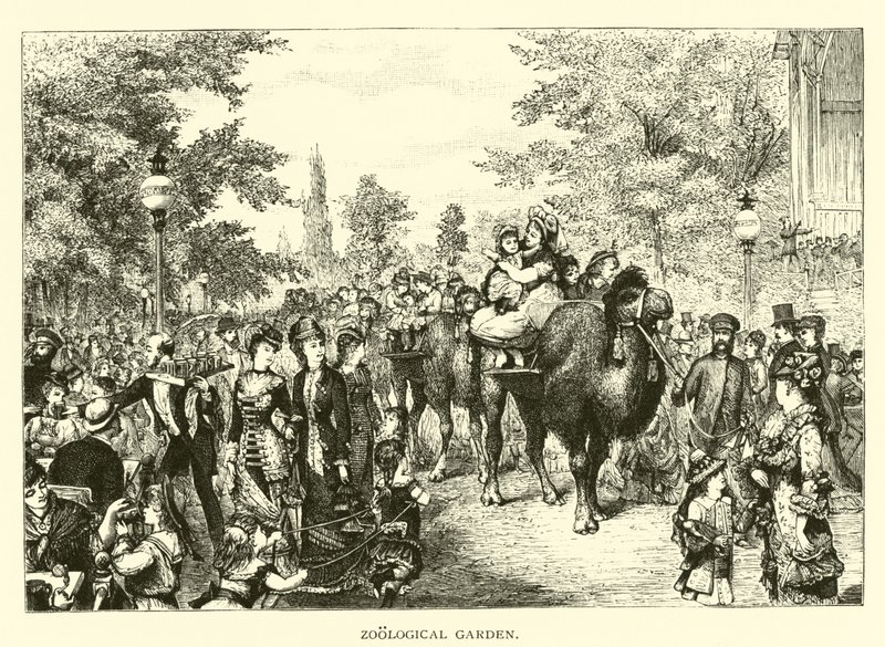Jardim zoológico de American School
