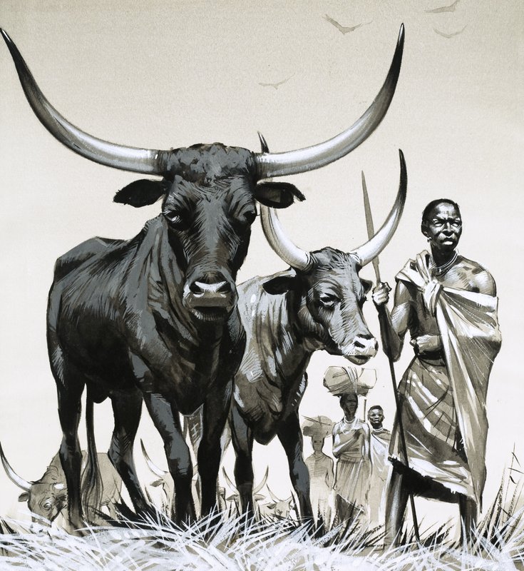 Gado Ankole de Angus McBride