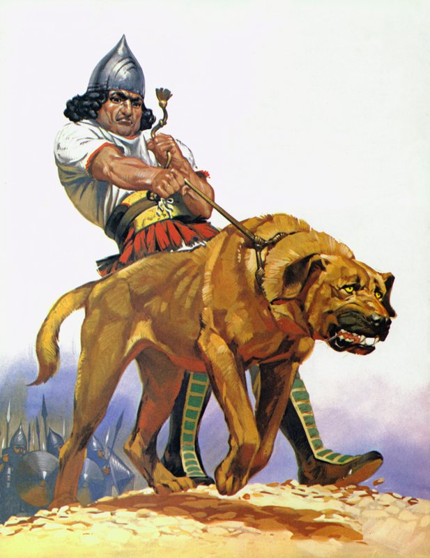 Cão de combate assírio (litografia a cores) de Angus McBride