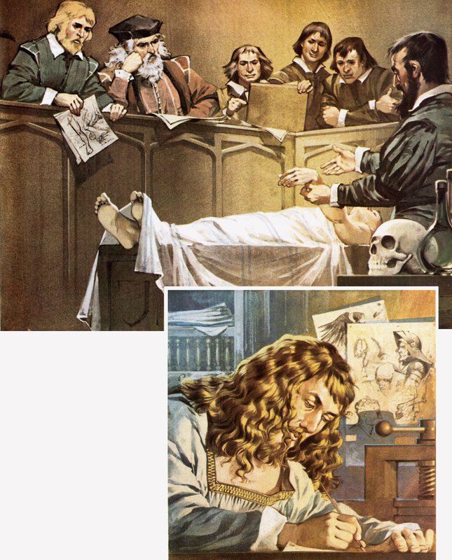 Demonstração de dissecação (em cima) e desenho de Durer (em baixo) de Angus McBride