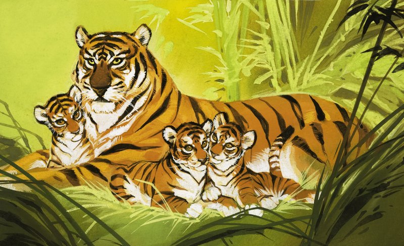 Família de tigres de Angus McBride