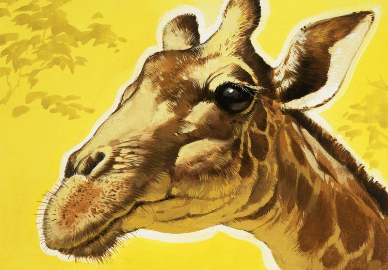 Cabeça de girafa de Angus McBride