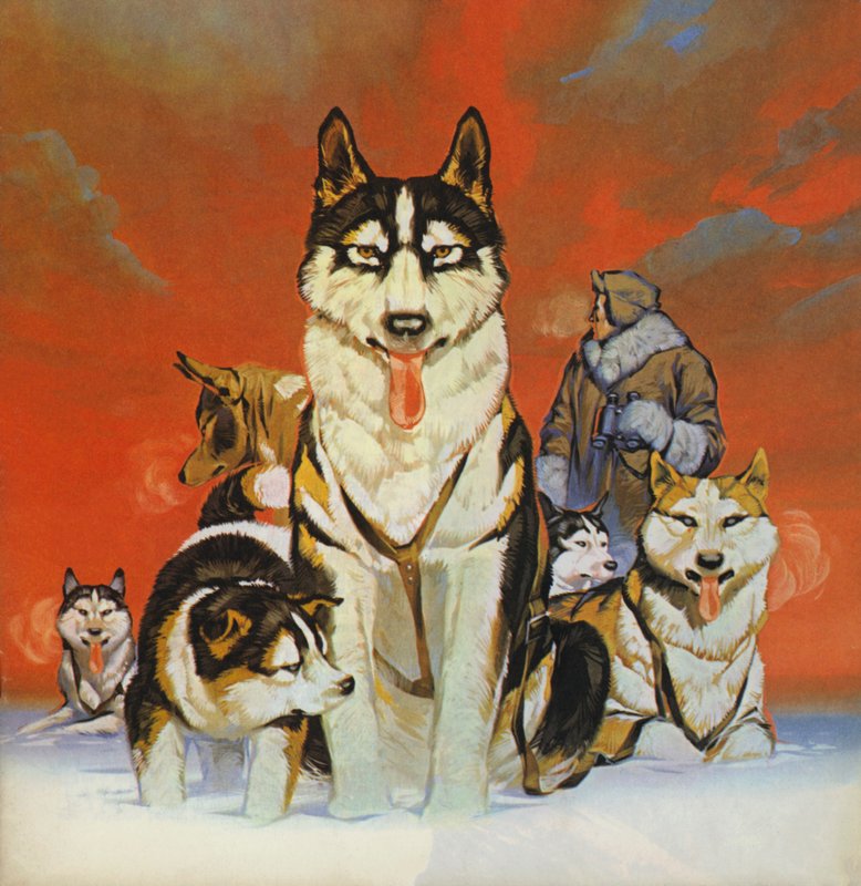 Huskies (litografia a cores) de Angus McBride