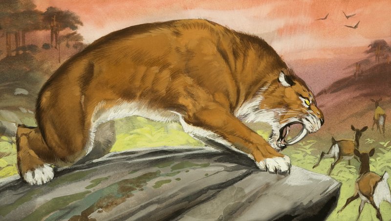 Tigre-dente-de-sabre à caça de Angus McBride