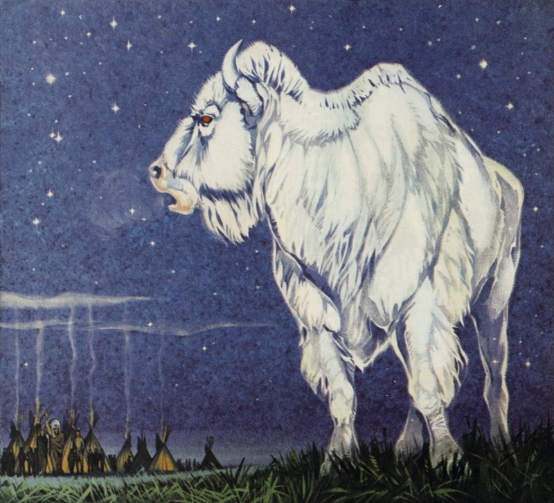 O Búfalo Branco (litografia a cores) de Angus McBride