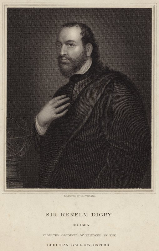 Retrato de Sir Kenelm Digby de Anthony van Dyck