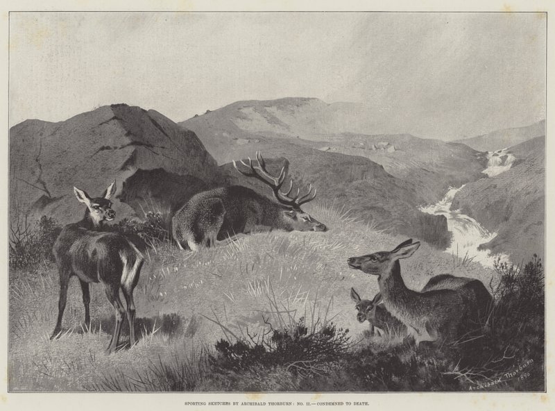 Esboços esportivos, condenados à morte de Archibald Thorburn