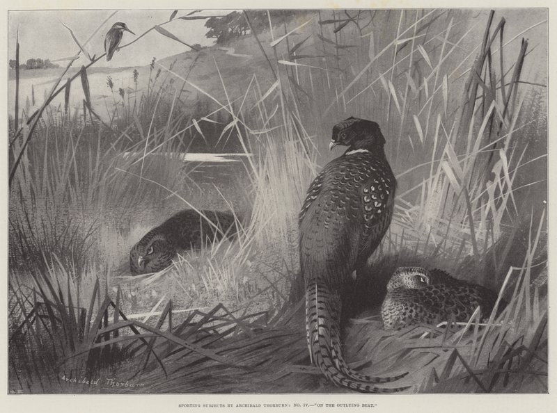 Sujeitos esportivos, na batida periférica de Archibald Thorburn